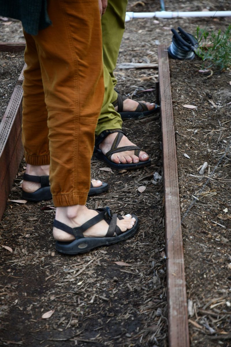 Two pairs of legs wearing sandals in garden with pants