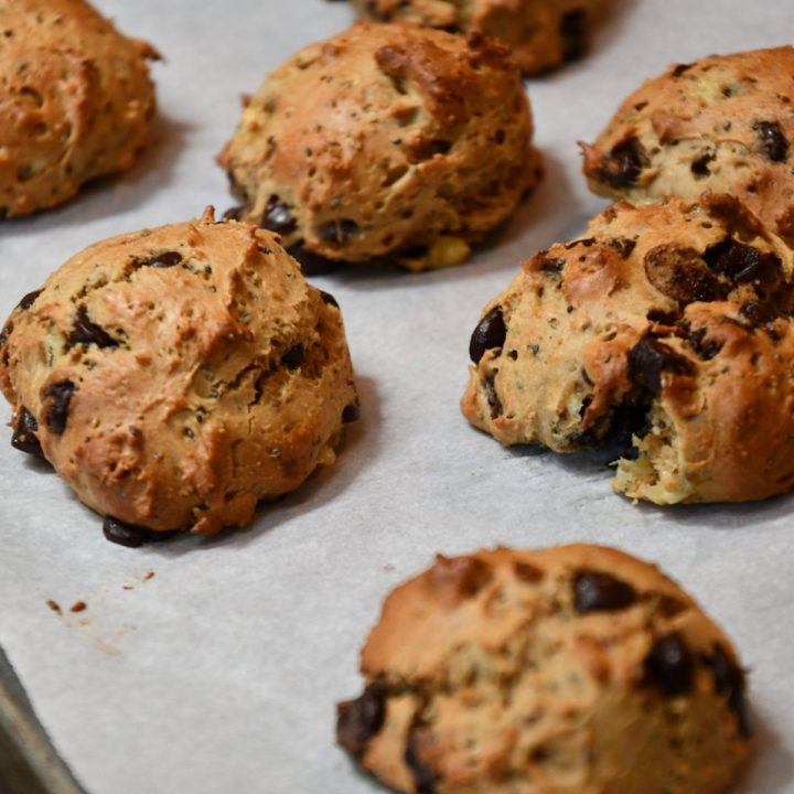 Gluten Free Oat Free Chocolate Chip Protein Cookies/Muffins