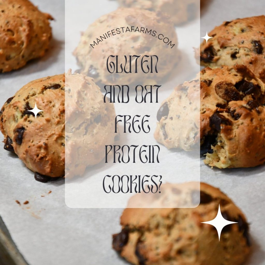 The current image has no alternative text. The file name is: Emma-cookie-recipe-2.jpg